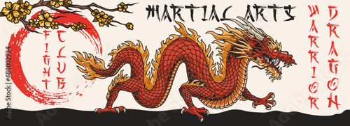 Dragon martial arts banner colorful