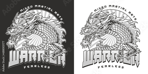 Fearless warrior dragon monochrome sticker photo