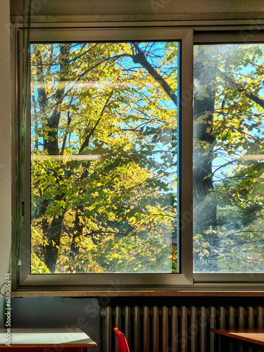 window in the autumn on a sunny day