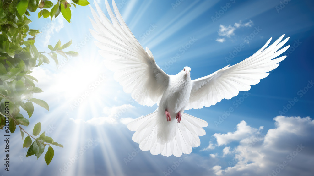 Obraz premium White dove is flying against a beautiful background of clouds, tree branches and warm rays of the sun. Freedom concept and international day of peace.