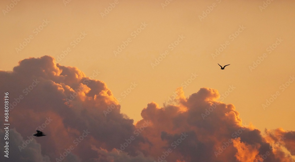 Colorful burning clouds in heaven and birds flaying Colorful burning clouds in heaven and birds flaying