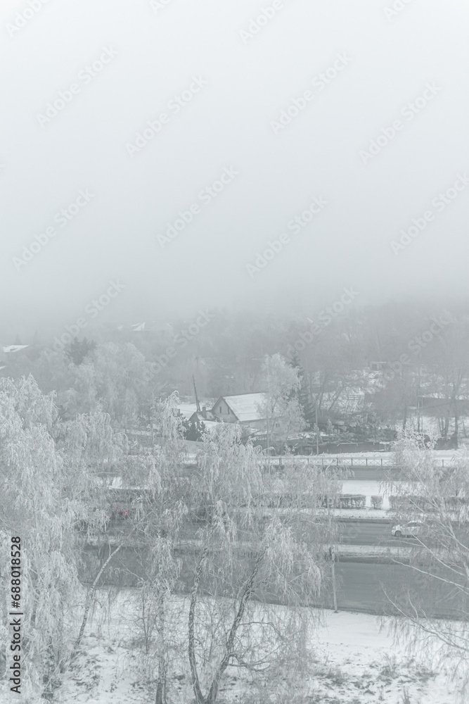 morning fog in winter over houses and trees. winter landscape morning fog in winter over houses and trees. winter landscape