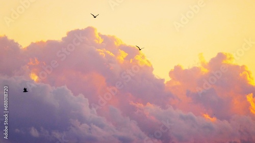 Colorful burning clouds in heaven and birds flaying