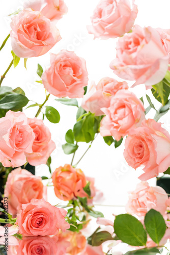 Rose wallpaper for product display  displaying products on roses  pink background