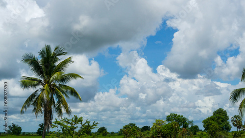 Beautiful panoramic view of a green field filled with tall trees and green grass on a sunny morning with an amazing cloudy blue sky.