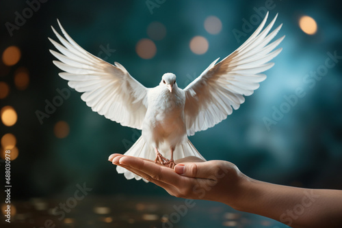 White dove flying to the sky, peace, pacifism and consciousness, purity and postive emotion, love and freedom, holy spirit, pigeon bird photo