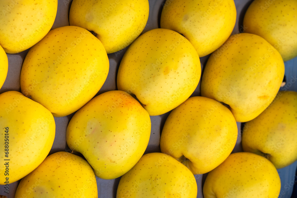 Appetizing and healthy boxed yellow apples for sale at a street market Appetizing and healthy boxed yellow apples for sale at a street market
