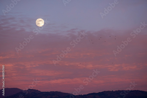 orange moon in the evening sky. full moon during sunset in evening sky. evening dusk orange red and yellow moon. Real photo.