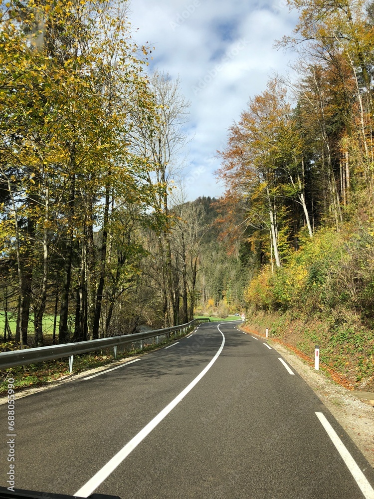Fototapeta premium Beautiful road in autumn forest in Slovenia