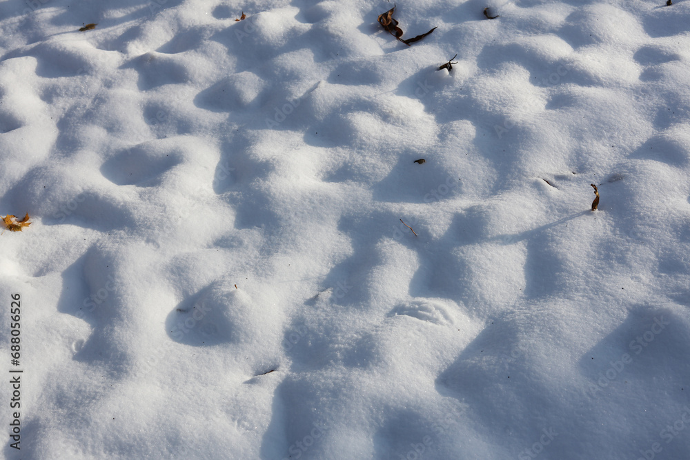 Fototapeta premium landscape with a ground covered in snow