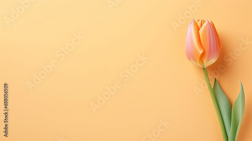Minimalist blooming Tulip flowers on pastel colored background with empty space for text created with Generative AI technology