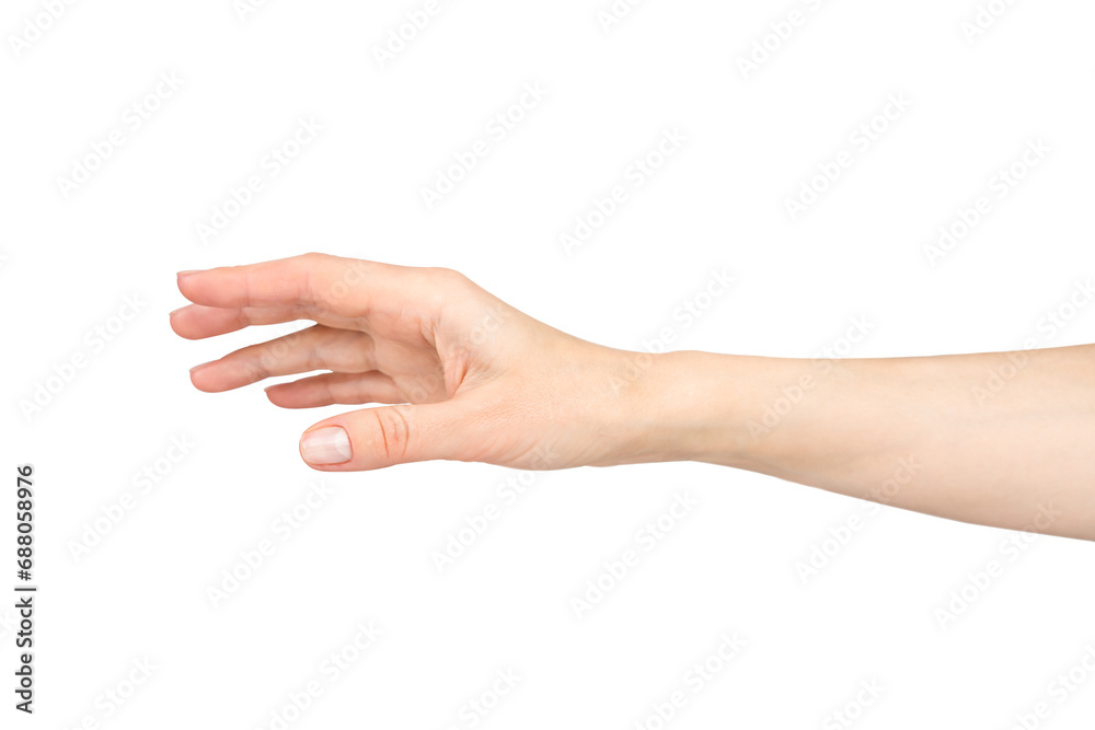Young woman's hand isolated on white background. Young woman's hand isolated on white background.