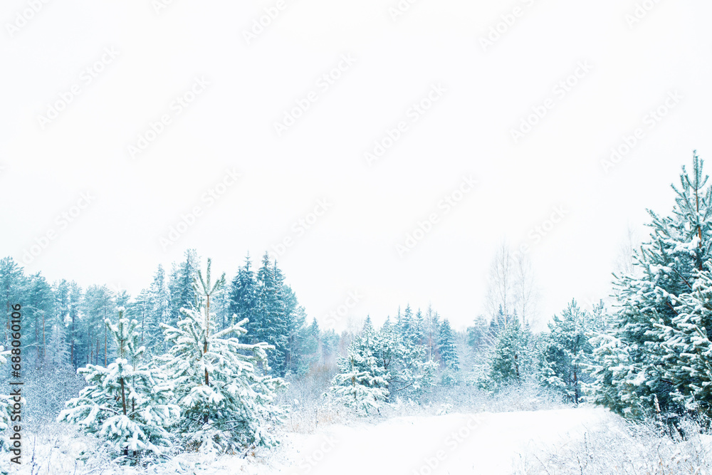 Fototapeta premium Landscape. Frozen winter forest with snow covered trees.