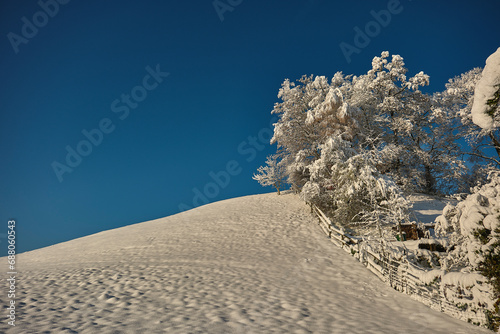 Obraz na płótnie snow covered mountains in winter w salonie