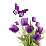 bouquet of tulips on the png transparent background, easy to decorate projects.