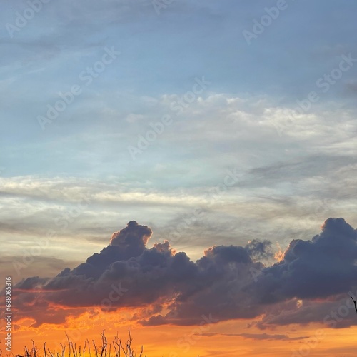 Orange fluffy clouds and sun sunlight reflection in the blue sky. Silhouette of tree and sky background.copy space. 