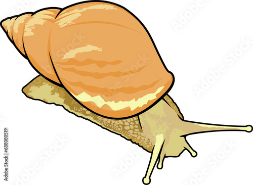 light brown wild snail vector