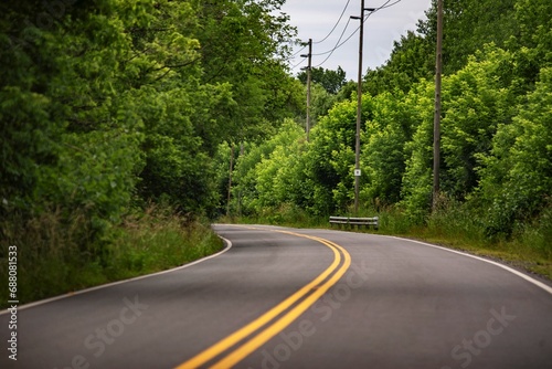 Carretera con líneas amarillas y vegetación frondosa