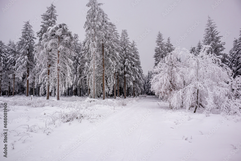 Fototapeta premium Kleine Winterwanderung im verschneiten Thüringer Wald bei Floh-Seligenthal - Thüringen - Deutschland