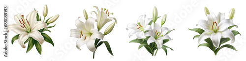 Easter Lily flower clipart collection, vector, icons isolated on transparent background photo