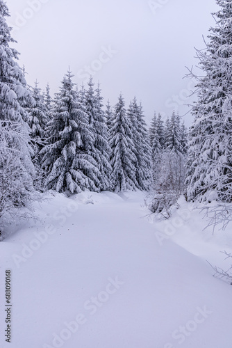 Kleine Winterwanderung durch den Tiefschnee im Thüringer Wald bei Oberhof - Thüringen - Deutschland © Oliver Hlavaty
