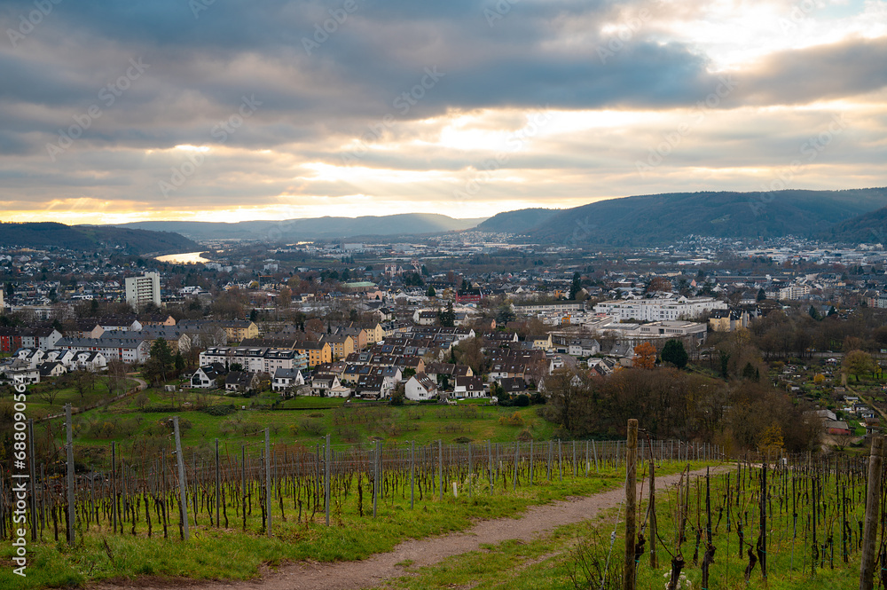 Vineyard with view of the ancient roman city of Trier, the Moselle Valley in Germany, landscape in rhineland palatine
