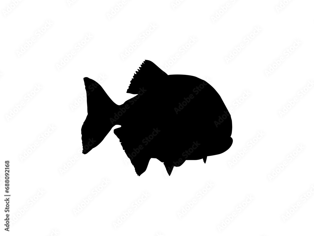 Piranha Fish Silhouette, can use for Logo Gram, Website, Art Illustration, Pictogram, Icon or Graphic Design Element. Vector Illustration
Piranha Fish Silhouette, can use for Logo Gram, Website, Art Illustration, Pictogram, Icon or Graphic Design Element. Vector Illustration