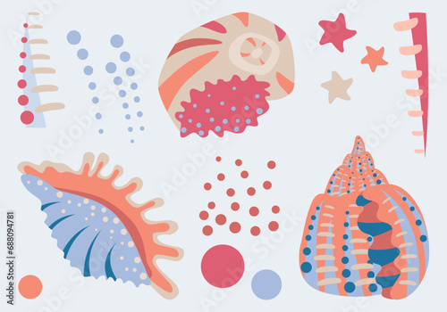 Sea shells and themed elements. Bright vector drawings on a white background