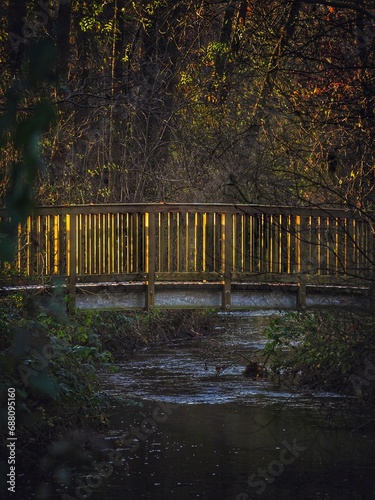 bridge in autumn
