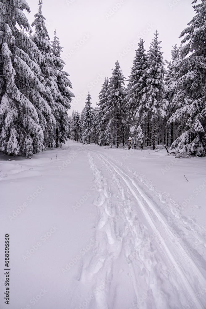 Fototapeta premium Kleine Winterwanderung durch den Tiefschnee im Thüringer Wald bei Oberhof - Thüringen - Deutschland