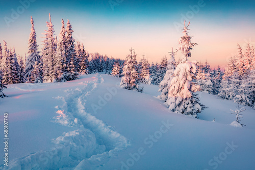 Frosty winter scenery. Fantastic sunrise in mountain forest. Fabulous winter landscape of Carpathian mountains with fir trees covered fresh snow. Christmas postcard. © Andrew Mayovskyy