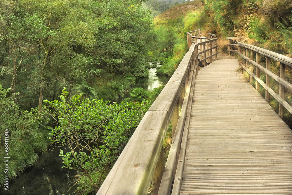 A wooden bridge over a small river between a hill and a green forest