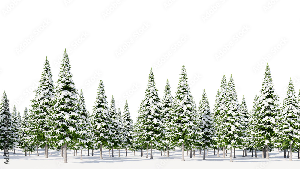 PNG Image of snow-covered fir trees, transparent
