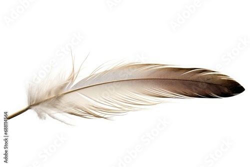 Feather Back