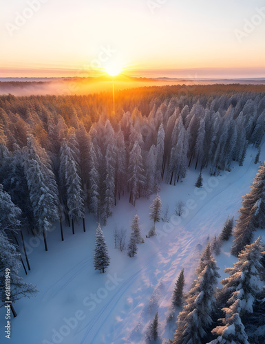 A panoramic view of the covered with frost trees in the snowdrifts. Natural landscape with beautiful sky. 