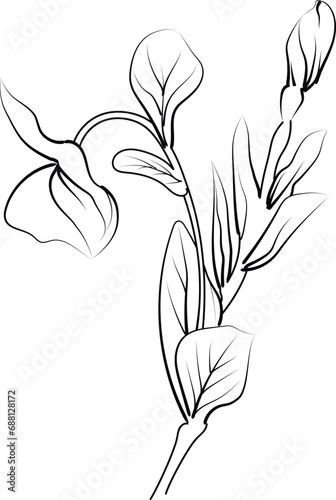 Cute flower coloring pages  periwinkle drawing  yellow marigold flower drawing  Hand-drawn botanical spring elements bouquet of periwinkle line art coloring page  easy flower drawing. vinca wall art