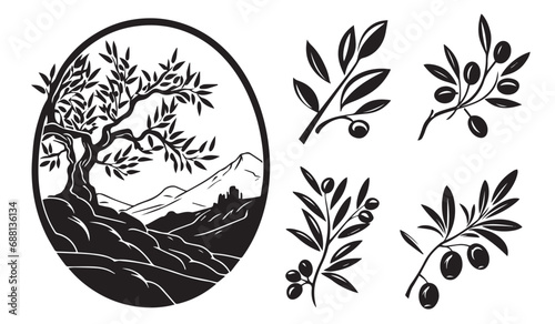Fotografija Olive branches with olives, black and white vector graphics, logo for an olive p
