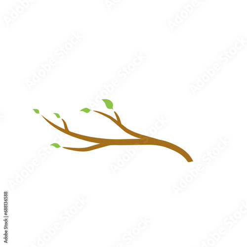 Tree branch with green leaves