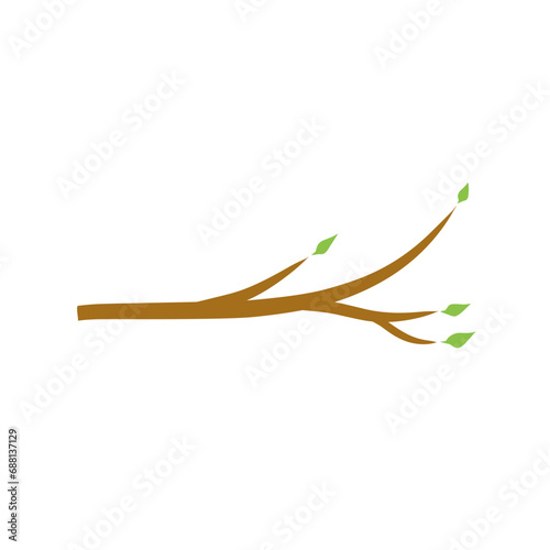 Tree branch with green leaves