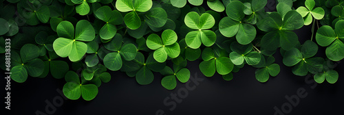 clover, green. beautiful background. Top view of a quatrefoil clover. A symbol of good luck. banner 