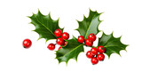 Holly leaves and berries isolated on white or transparent background generative ai