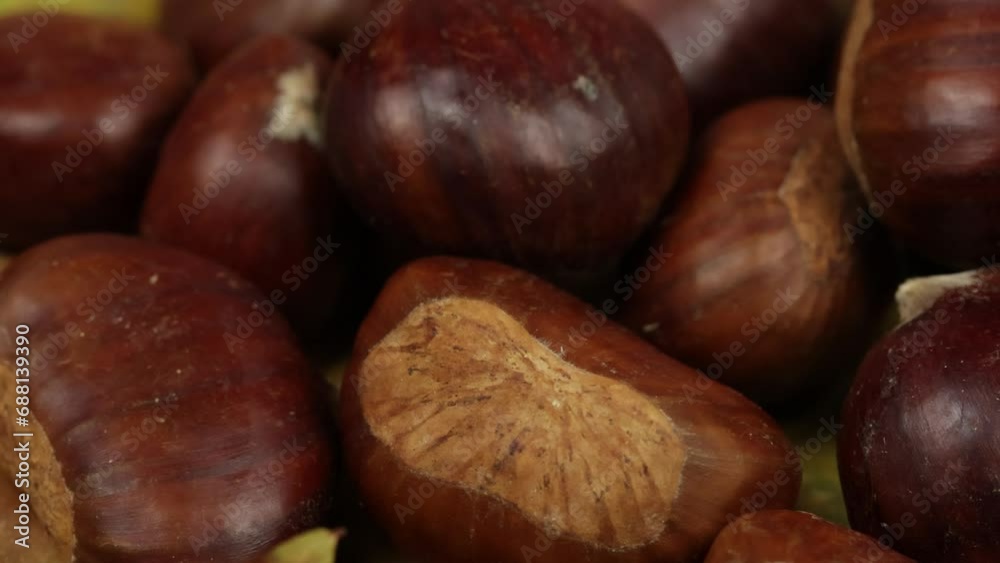 châtaignes, en gros plan, isolées sur des feuilles d'arbres