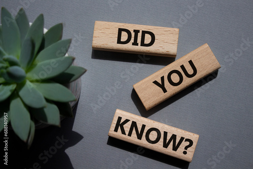 Did you know symbol. Wooden blocks with words Did you know. Beautiful grey background with succulent plant. Business and Did you know concept. Copy space.