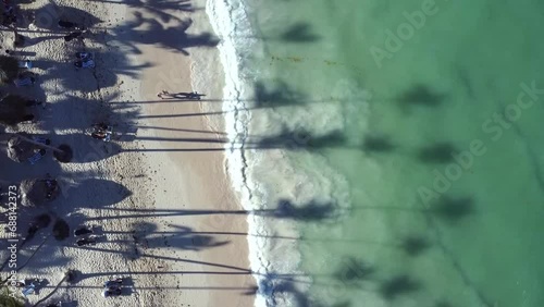 Cień wysokich palm na tle fal z oceanu. Plaża tropikalna na Karaibach. Artystyczny cień z palm na tle wody. photo