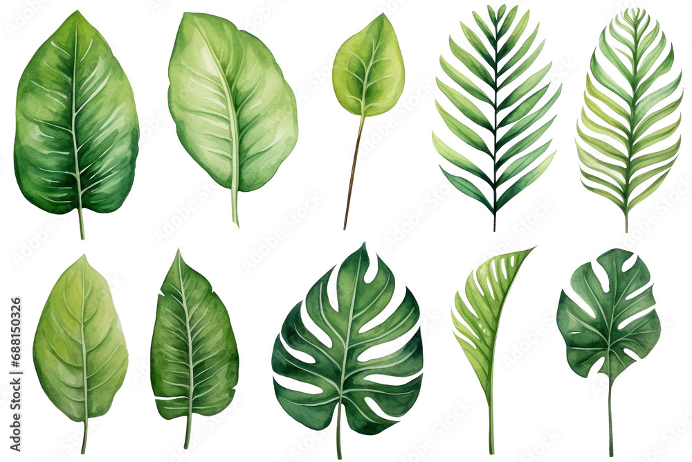 Set of Watercolor Tropical spring green leaves elements set isolated on transparent background, bouquets greeting or wedding card invitation, decoration clip art mock up. Set of Watercolor Tropical spring green leaves elements set isolated on transparent background, bouquets greeting or wedding card invitation, decoration clip art mock up.