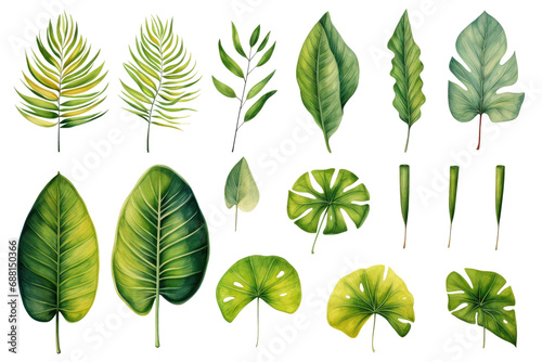 Set of Watercolor Tropical spring green leaves elements set isolated on transparent background, bouquets greeting or wedding card invitation, decoration clip art mock up.