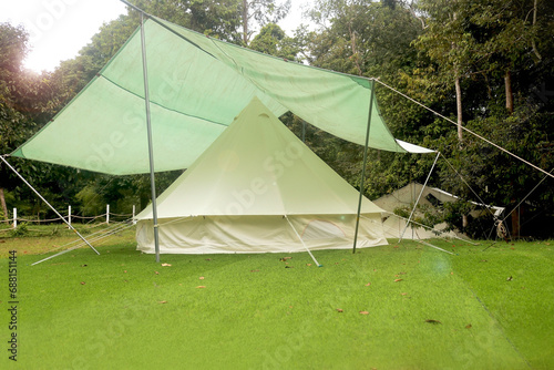 Pitch a tent in the rainforest