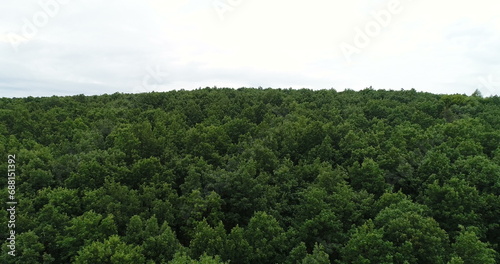 Flying over the beautiful forest trees. Landscape panorama.