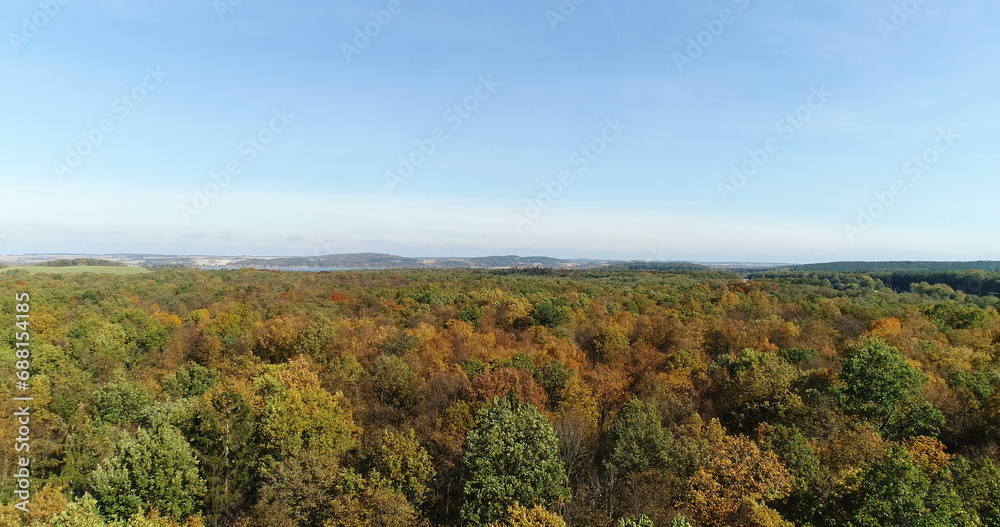 Flying over forest trees. Nature - Aerial Views