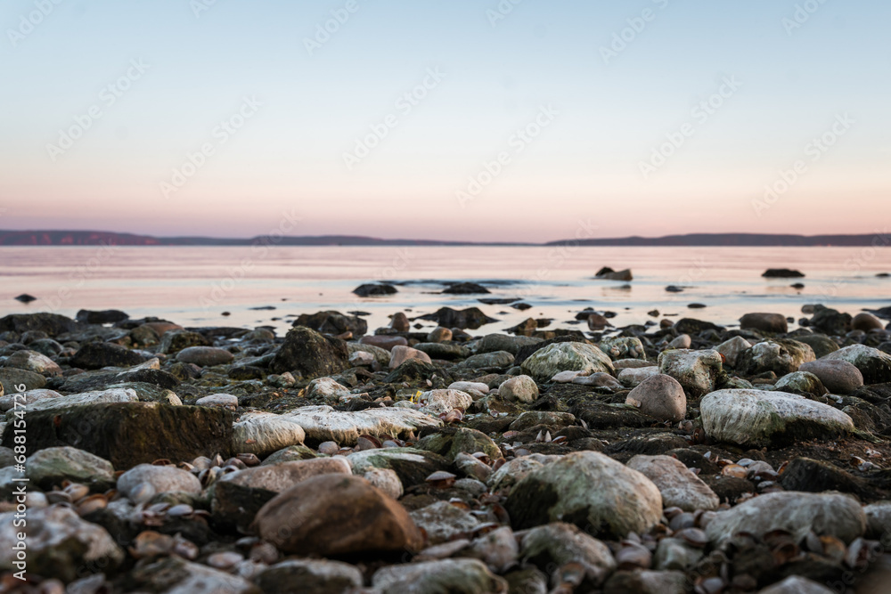 A pebble beach at sunset, a stone with algae